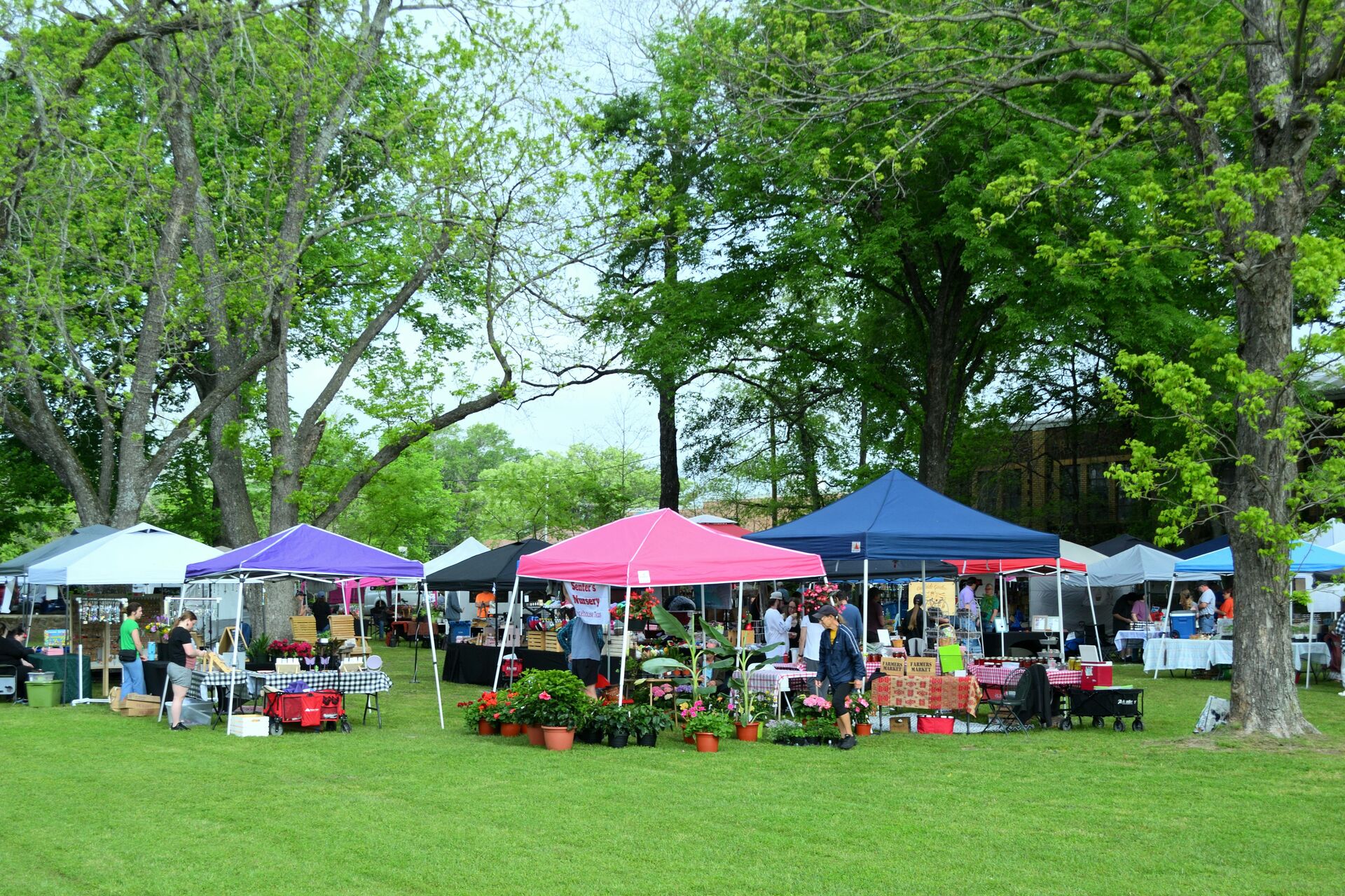 Colorful outdoor market with vendor tents and shoppers browsing plants and crafts